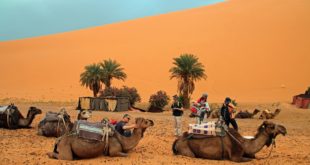 Reisesicherheit in Marokko
